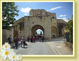 Provins_Visite (5)